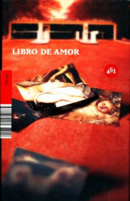 LIBRO DE AMOR