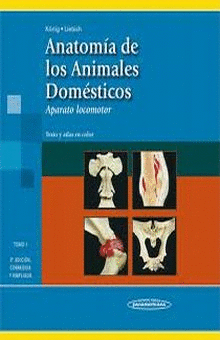 ANATOMIA ANIMALES DOMESTICOS 2AED. T1. APARATO LOCOMOTOR. TEXTO Y ATLAS EN COLOR