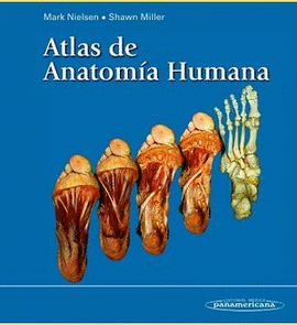 ATLAS DE ANATOMIA HUMANA