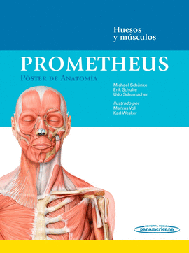 PROMOTHEUS HUESOSO Y MUSCOLOS POSTER DE ANATOMIA