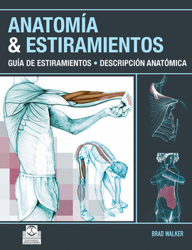 ANATOMIA Y ESTIRAMIENTOS