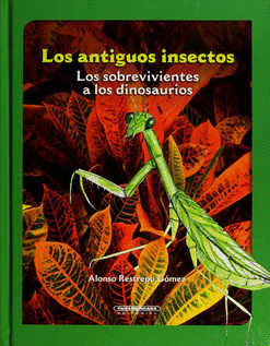 LOS ANTIGUOS INSECTOS