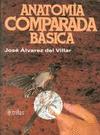 ANATOMIA COMPARADA BASICA  