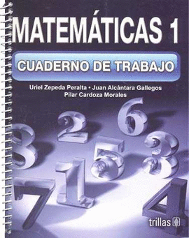 MATEMATICAS 1