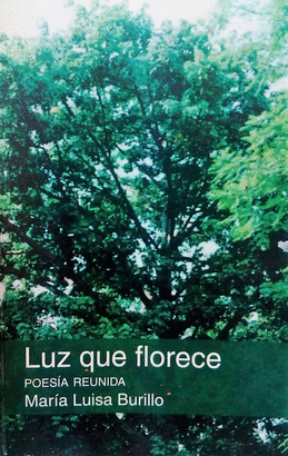LUZ QUE FLORECE