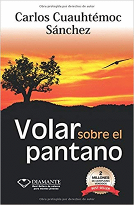 VOLAR SOBRE EL PANTANO