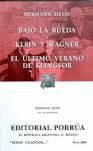 BAJO LA RUEDA, KLEIN Y WAGNER, EL ULTIMO VERANO DE KLINGSOR