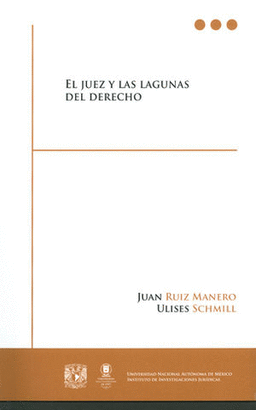 EL JUEZ Y LAS LAGUNAS DEL DERECHO