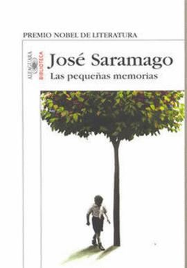 LAS PEQUEÑAS MEMORIAS P.D.
