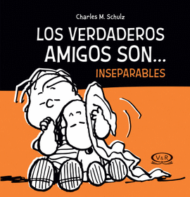 LOS VERDADEROS AMIGOS SON... INSEPARABLES N.V.