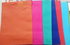 BOLSA REGALO 13X18 PULG LISA MATE 12 MOD COLORES DE VERANO